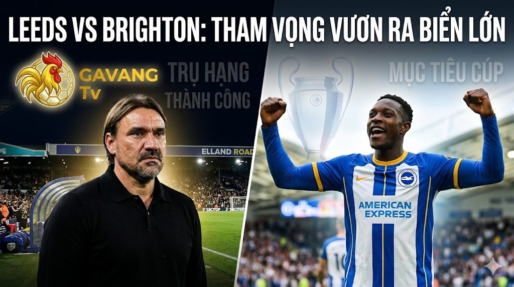 Nhận định trực tiếp trận đấu Leeds vs Brighton vòng 37 Ngoại hạng Anh trên Gavang TV