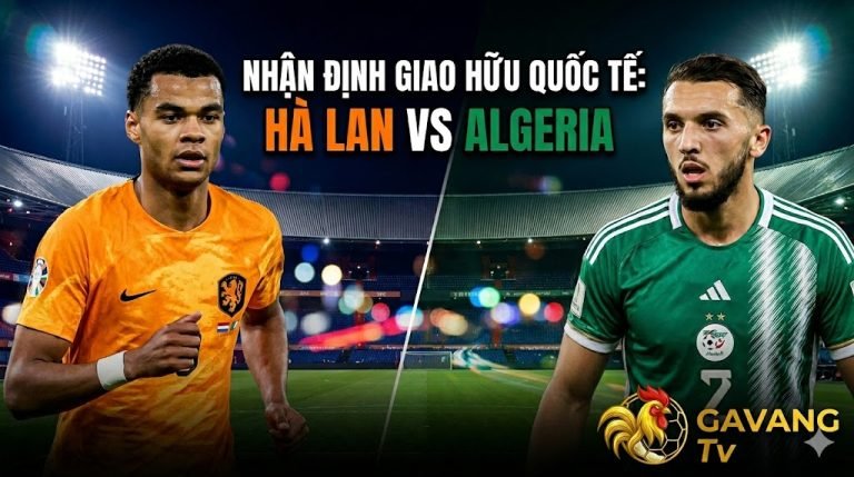 Nhận định trận đấu giao hữu quốc tế giữa đội tuyển Hà Lan và Algeria với góc nhìn chuyên sâu từ Gavang TV.